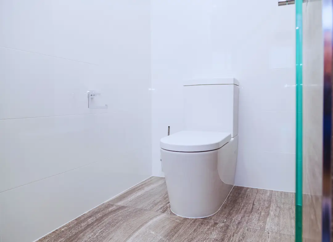 Remplacement de wc Machecoul-Saint-Même